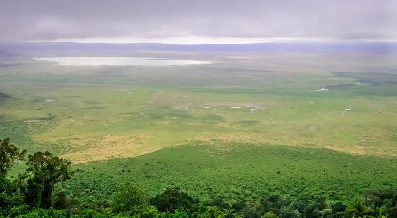 Ngorongoro Conservation Area