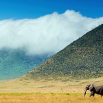 Discovering the Ngorongoro Crater: Nature’s Eden in Tanzania
