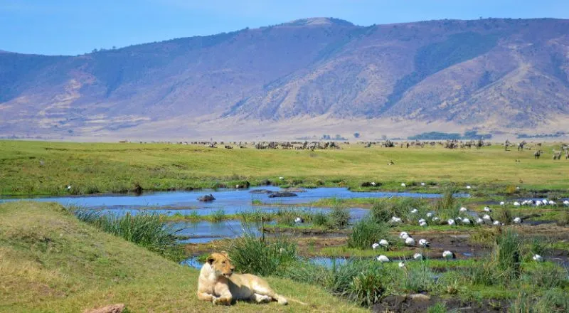 Ngorongoro Crater
