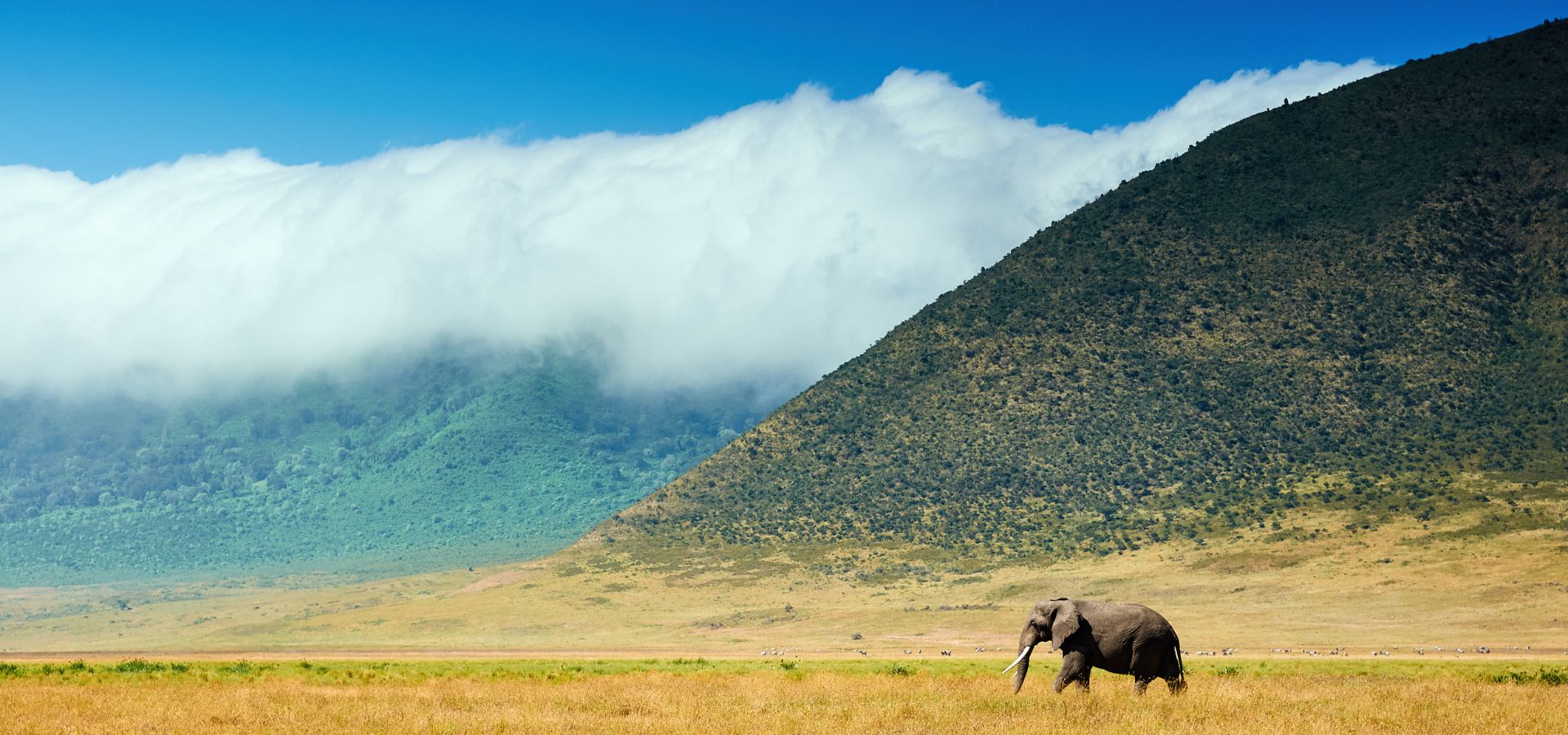 Discovering the Ngorongoro Crater: Nature’s Eden in Tanzania