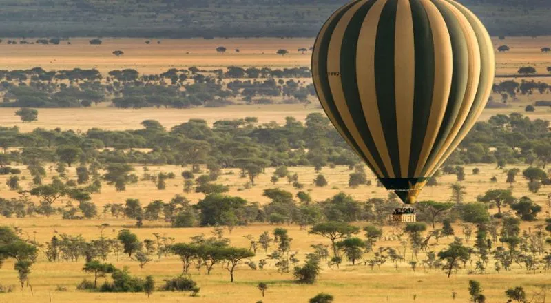 Hot Air Balloon Safaris
